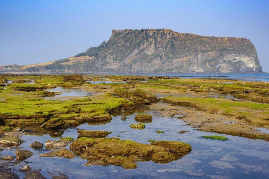 Jeju Hue Resort مدينة سيوجويبو المظهر الخارجي الصورة